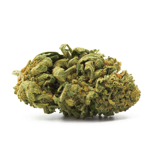 Fruit Cake cannabis light legale acquistabile all'ingrosso. Sconti per quantità superiori