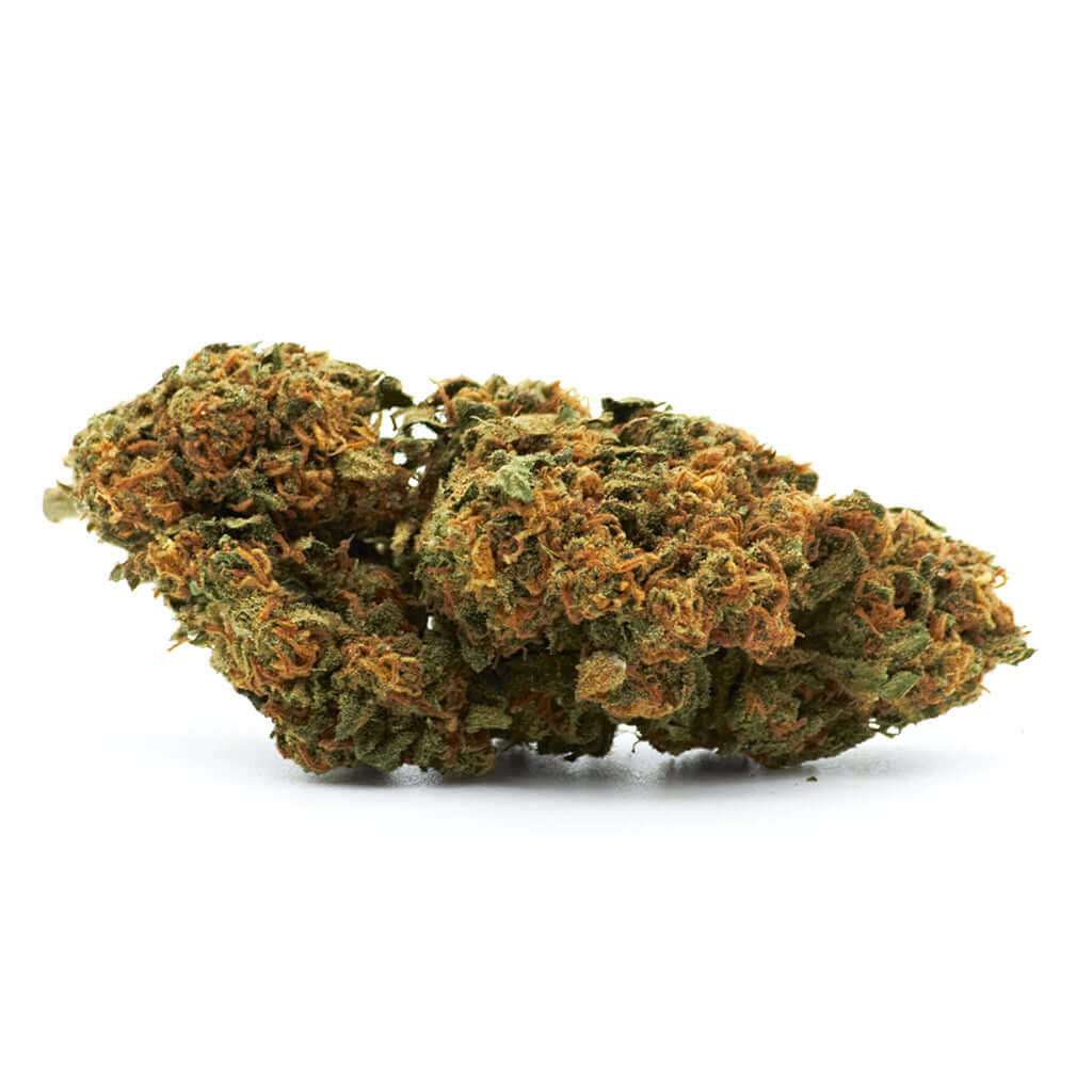 Blueberry cannabis light legale acquistabile all'ingrosso. Sconti per quantità superiori