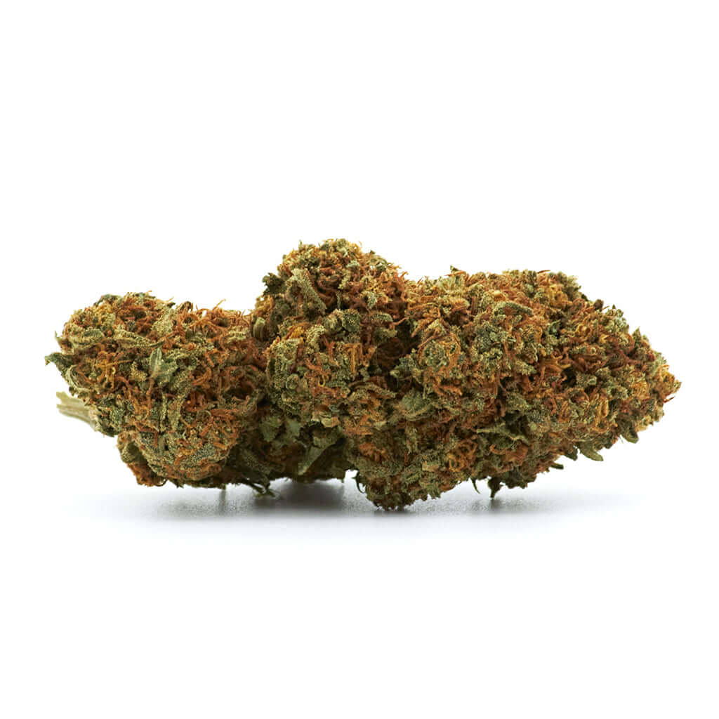 Blueberry cannabis light legale acquistabile all'ingrosso. Sconti per quantità superiori