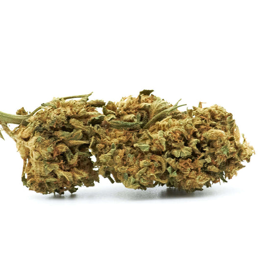 BZ1 cannabis light legale acquistabile all'ingrosso. Sconti per quantità superiori