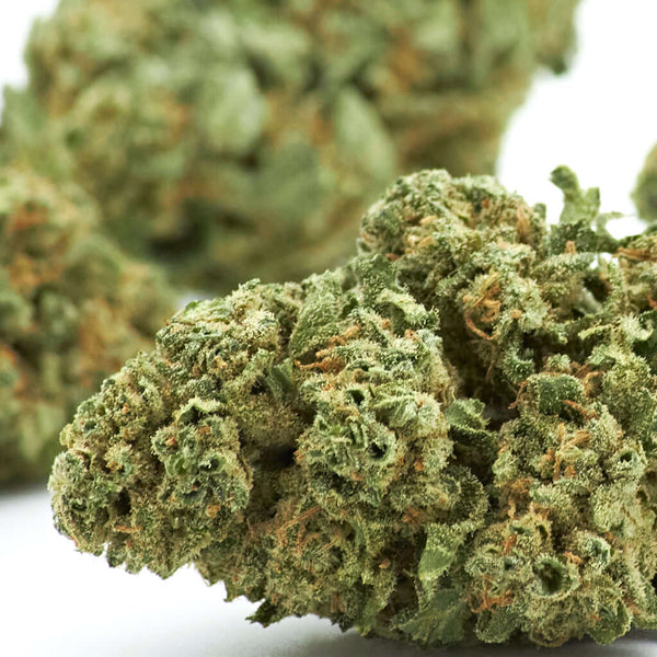 Caramel Candy cannabis light legale acquistabile all'ingrosso. Sconti per quantità superiori