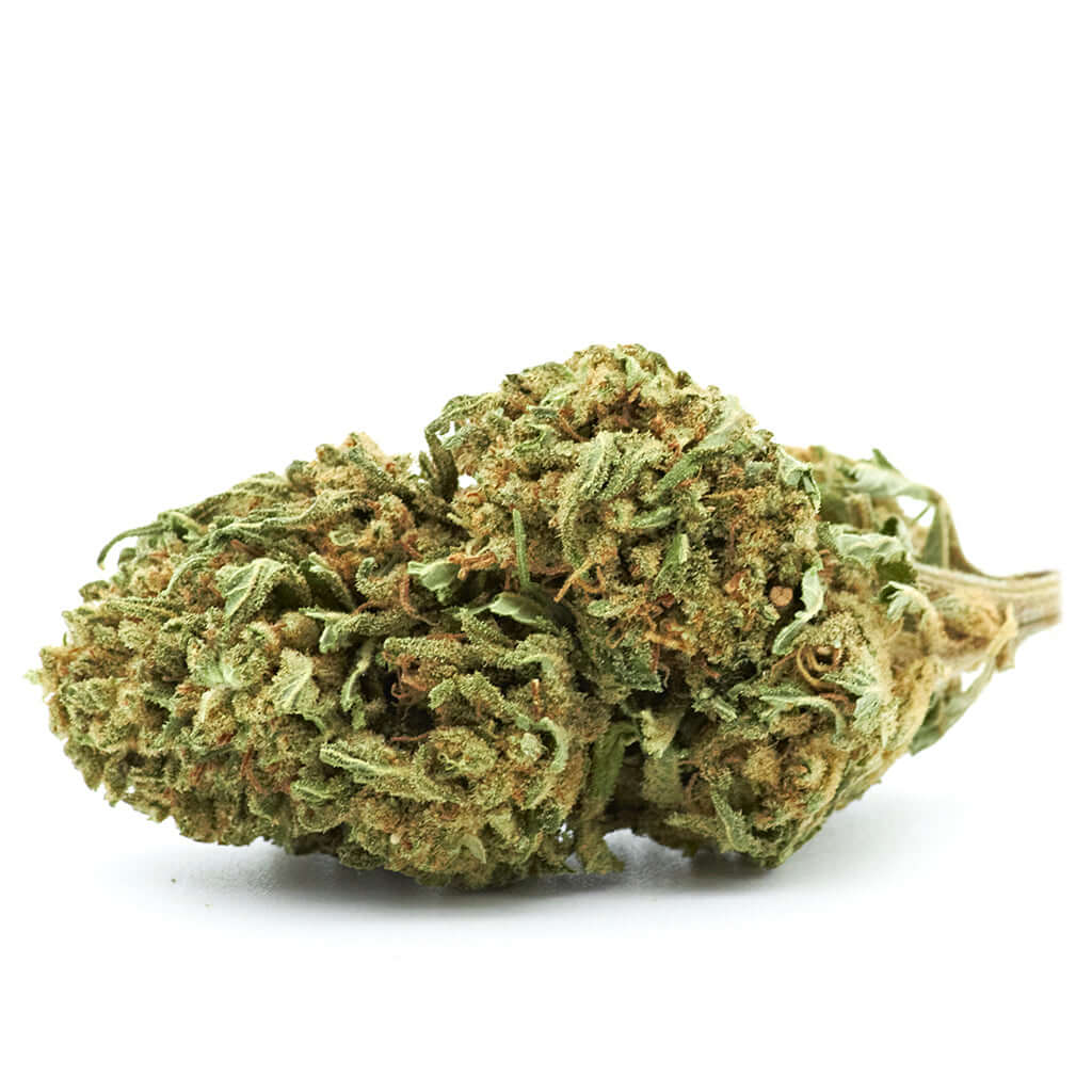 Choco Nutella cannabis light legale acquistabile all'ingrosso. Sconti per quantità superiori