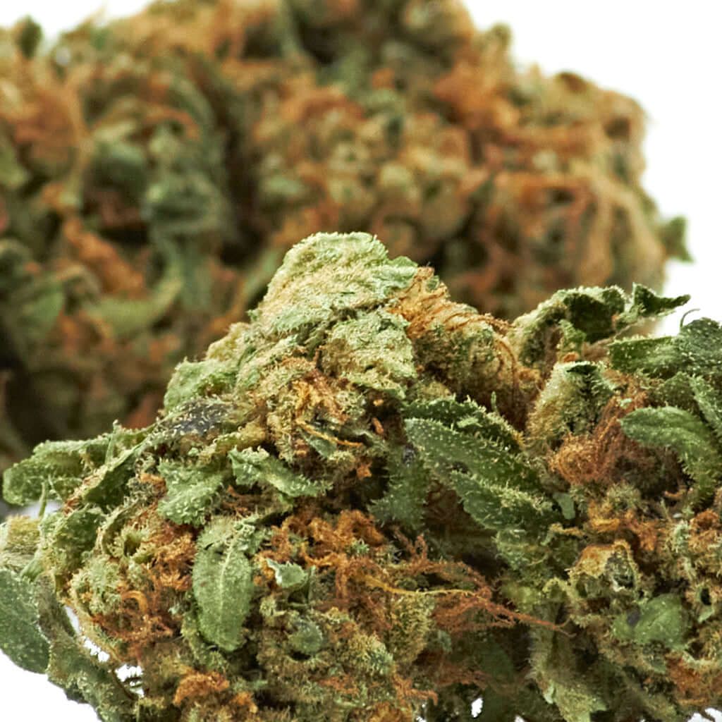 Diamond cannabis light legale acquistabile all'ingrosso. Sconti per quantità superiori