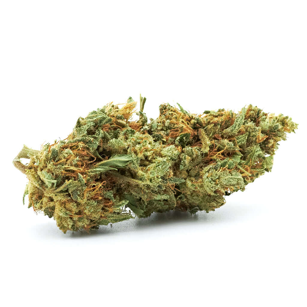 Lemon Haze cannabis light legale acquistabile all'ingrosso. Sconti per quantità superiori