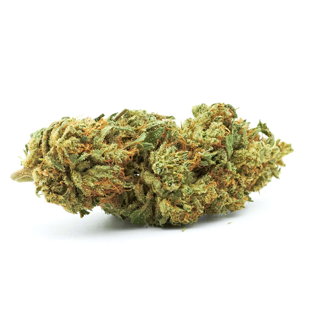 Lemon Haze cannabis light legale acquistabile all'ingrosso. Sconti per quantità superiori