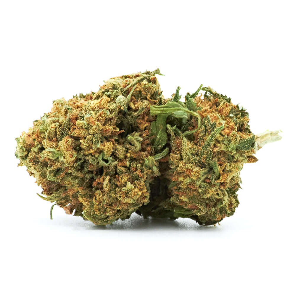 Tangerine Dream cannabis light legale acquistabile all'ingrosso. Sconti per quantità superiori
