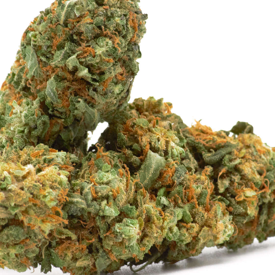 AK47 cannabis light legale acquistabile all'ingrosso. Sconti per quantità superiori