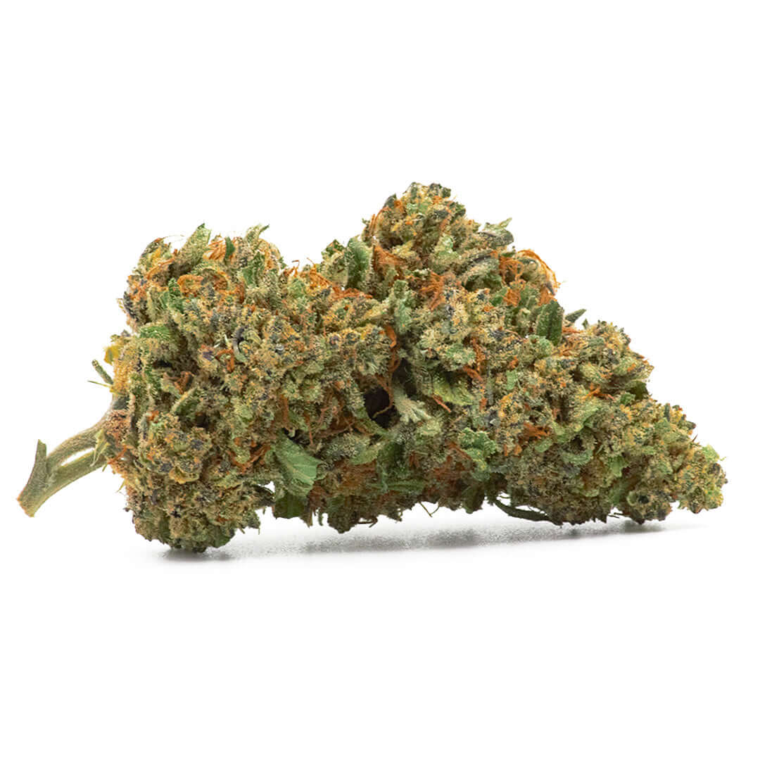 Black Purple cannabis light legale acquistabile all'ingrosso. Sconti per quantità superiori