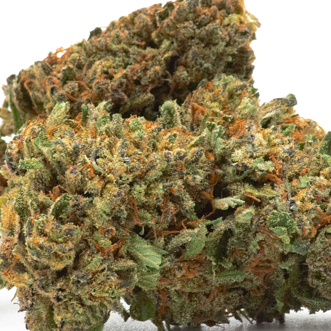 Black Purple cannabis light legale acquistabile all'ingrosso. Sconti per quantità superiori