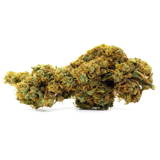 Centos cannabis light legale acquistabile all'ingrosso. Sconti per quantità superiori