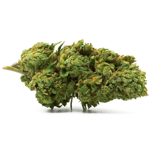 Gelato cannabis light legale acquistabile all'ingrosso. Sconti per quantità superiori