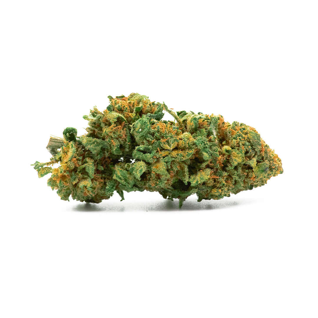 Torus cannabis light legale acquistabile all'ingrosso. Sconti per quantità superiori