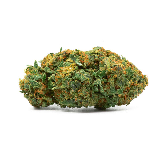 Torus cannabis light legale acquistabile all'ingrosso. Sconti per quantità superiori