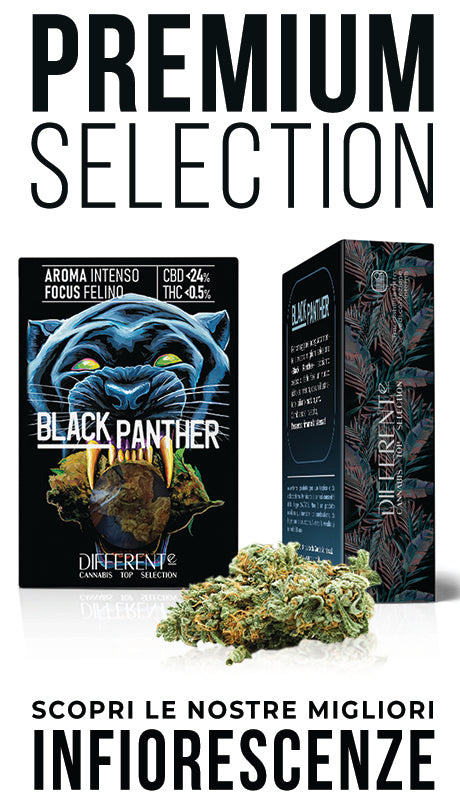 Collection page banner